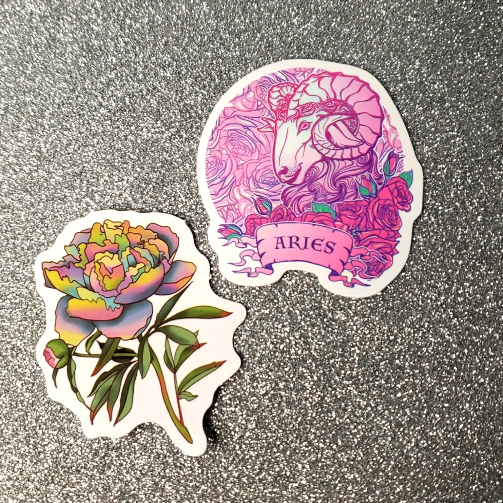 10/$10 ZODIAC waterproof Sticker